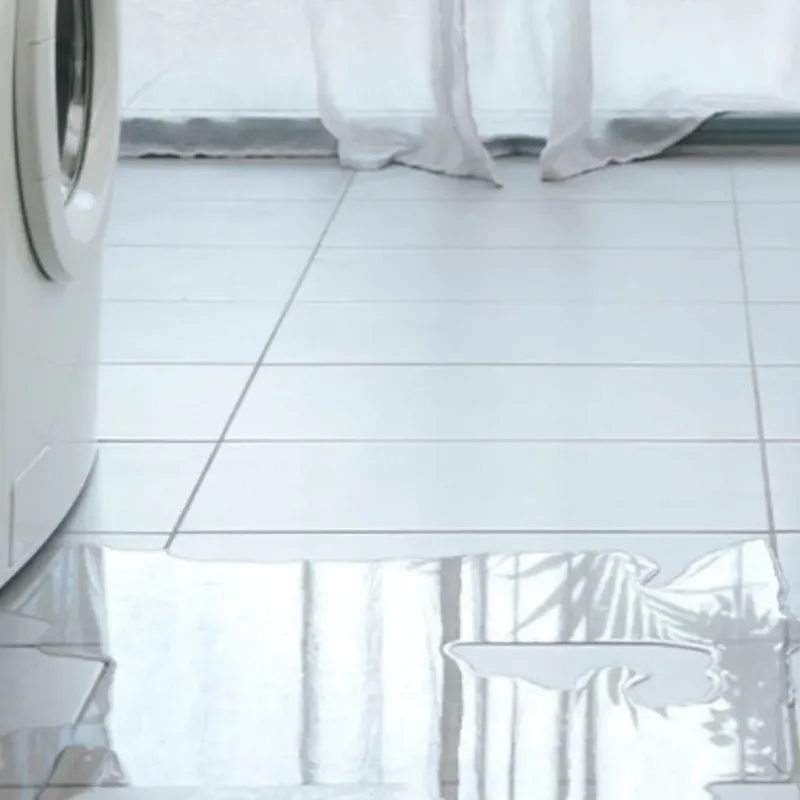 Appliance Leak Cleanup in Gainesville, GA