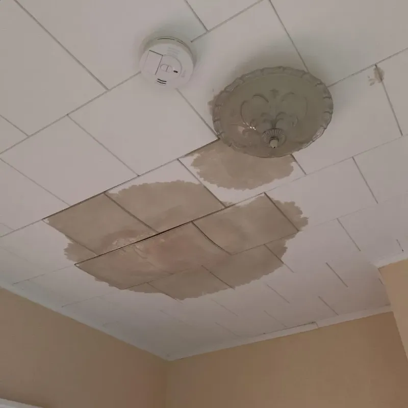 Ceiling Water Damage Repair in Gainesville, GA