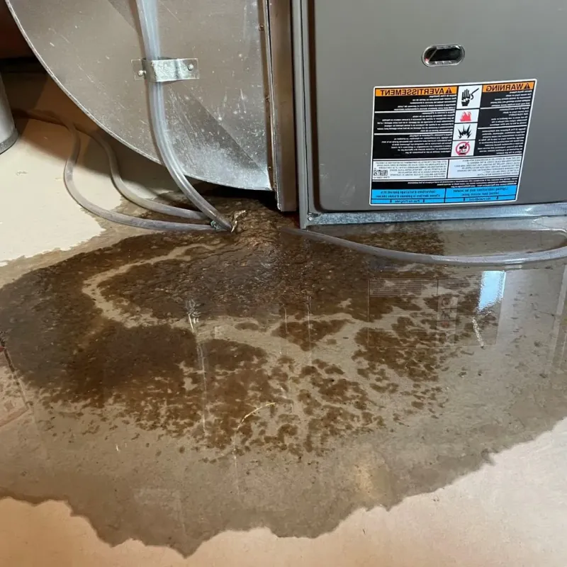 Pipe Burst and Leak Restoration in Gainesville, GA